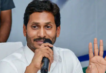 Can Only Plead For Special Status For Andhra Pradesh In Lok Sabha: Jagan Reddy