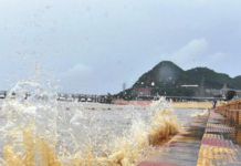 Andhra CM Jagan to lay stone for Krishna flood bank widening works today