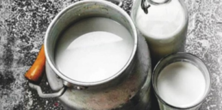 Andhra Pradesh: Automatic milk collection to boost farmers’ revenue