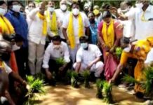 TDP leaders plant paddy saplings in water-filled potholes on Andhra roads; detained