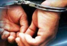 Seven nabbed for stealing shrimps in Andhra Pradesh