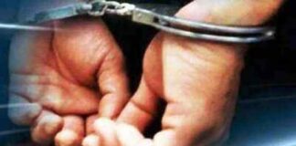 Seven nabbed for stealing shrimps in Andhra Pradesh