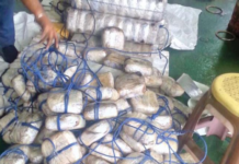 Andhra Pradesh firm received 25 tonnes of heroin worth Rs 72,000 cr