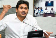 Andhra Pradesh appoints 481 directors; Women get 52 % posts