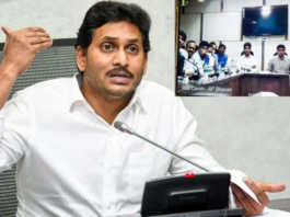 Andhra Pradesh appoints 481 directors; Women get 52 % posts