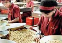 Traders call to promote Palasa cashew in global market