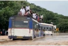 Andhra Pradesh Rains: Kadapa, Tirupati Flood Hit; CM Announces Ex Gratia