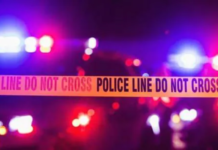 8 killed in separate road accidents in Andhra Pradesh