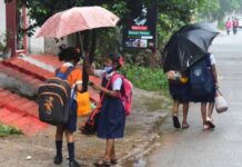 Andhra Pradesh to get heavy rains as depression makes landfall