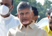No Jagan Reddy capital in Andhra Pradesh: Chandrababu Naidu