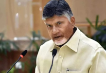Andhra Pradesh: Election results doesn’t depend on the alliances, says Chandrababu