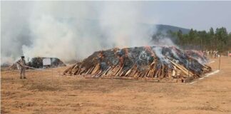 2 Lakh Kg Of Ganja Worth ₹ 200 Crore Set On Fire In Andhra