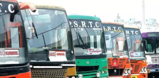 Students can renew bus passes online