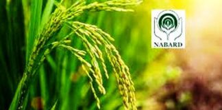 NABARD Increases Agriculture Credit for Andhra Pradesh by 10%