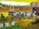 Chandrababu Naidu stages protest after YSRCP cadres demolish Anna canteen in Andhra’s Kuppam