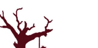 Farmers’ suicides increase by 19 % in Andhra Pradesh: NCRB