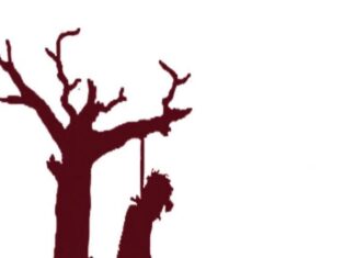 Farmers’ suicides increase by 19 % in Andhra Pradesh: NCRB