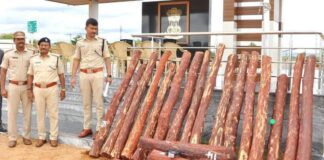 8 T.N. operatives nabbed, red sanders logs seized in A.P.’s Annamayya district