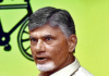 Focus on polls, not on alliances, Naidu tells TDP cadre