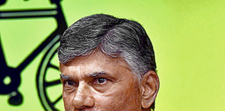 Focus on polls, not on alliances, Naidu tells TDP cadre