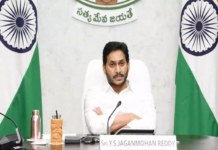 Amul Enters Andhra Pradesh After Karnataka, Tamil Nadu; TDP Says Blow to Telugu Pride