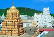 Andhra Pradesh: Now, ‘Tirumala Darshini’ app to be your guide at Lord Venkateswara’s abode