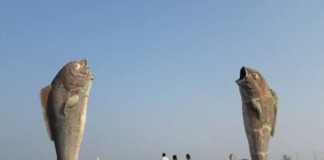 Krishna district beaches lack basic amenities