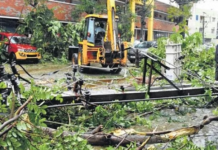 Six districts in Andhra Pradesh face brunt of Cyclone Mandous