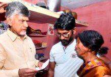 Andhra Pradesh govt appoints retired judge to probe stampedes at TDP events