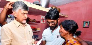 Andhra Pradesh govt appoints retired judge to probe stampedes at TDP events