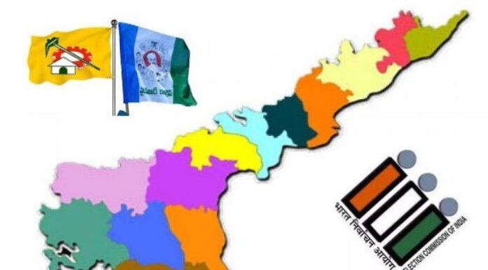 AP MLC Election Result 2023 winners list