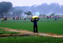 Andhra government permanently does away with British-era ‘dotted lands’, gives rights to 97,000 farmers