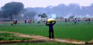 Andhra government permanently does away with British-era ‘dotted lands’, gives rights to 97,000 farmers