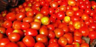 ‘Robbers’ kill Andhra Pradesh farmer who made ‘millions’ selling tomatoes