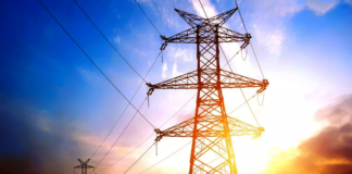 AP sees the highest power demand at 13,028 MW on October 19