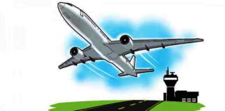 31 bird hits recorded at AP airports: Centre