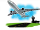 31 bird hits recorded at AP airports: Centre