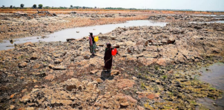 Inter-ministerial team visits Anantapur to review drought situation