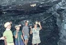 APMDC earns Rs 1k crore from Suliyari coal block mine