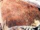 Two ancient Telugu inscriptions found in Prakasam