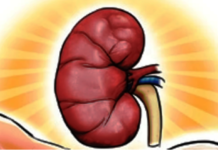 Prevalence of CKD in AP raises concern