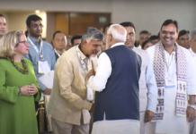 Naidu invites global investors to promote green energy in AP