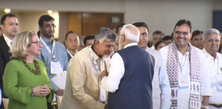 Naidu invites global investors to promote green energy in AP