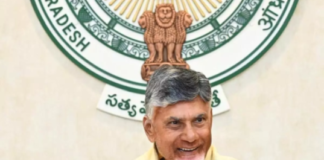 Andhra Pradesh capital Amaravati springs back to life as construction work resumes