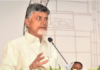 ED officials say no proof on Naidu yet as agency freezes Rs 23.54-cr assets in AP skill development scam