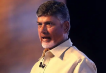 Chandrababu Naidu govt wants power plant in Andhra Pradesh to keep deal with SECI alive