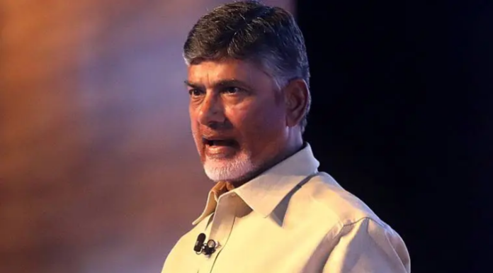 Chandrababu Naidu govt wants power plant in Andhra Pradesh to keep deal with SECI alive