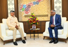 Tata Group to remain key partner in Andhra Pradesh’s growth: Chandrababu Naidu