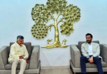 Andhra Pradesh will be the best bet for investors from UAE, CM Chandrababu Naidu gives assurance