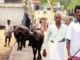 When global AI rush reaches a small Andhra Pradesh village